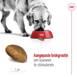 Royal Canin maxi adult 3kg