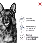 Royal Canin maxi adult 3kg