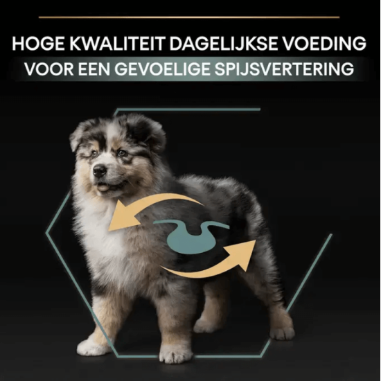 puppy gevoelige darmen
