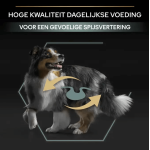 hondenvoer voor gevoelige darmen