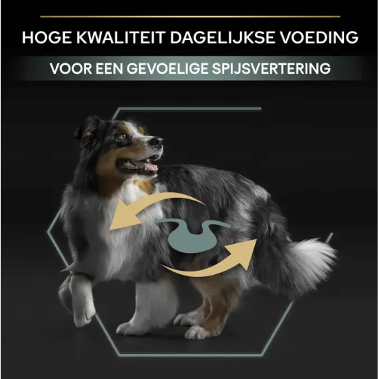 hondenvoer voor gevoelige darmen