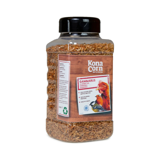 KonaCorn Gammarus 1L