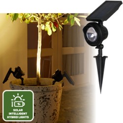 Solar Tuinlamp Texas 120lm Intelligent Hybride Tuinspot