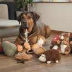 Hondenspeelgoed Egel Spike Pluche Bruin