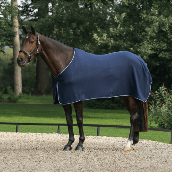 Fleecedeken paard Economy blauw