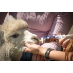 Excellent Alpaca Vitamine Gel (A, D3 & E) 60ml