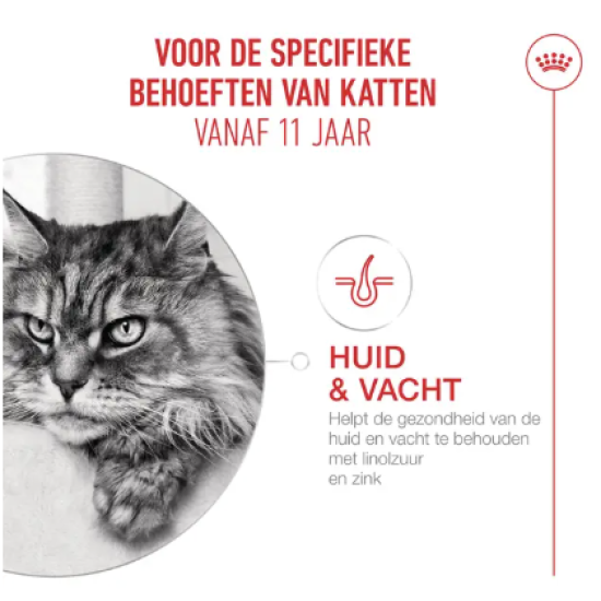 senior kattenvoer droog senior kattenvoer droog