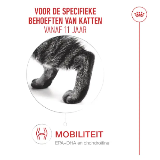 senior kattenvoer droog senior kattenvoer droog