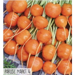 Hortitops Ronde wortelen Parijse Markt 4