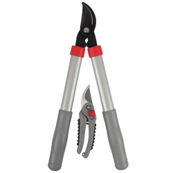 Snoeiset takkenschaar en snoeischaar