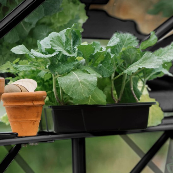 Kweekschap Anne2 zwart/groengrijs