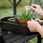 Kweektafel Anne 3 zwart/groengrijs