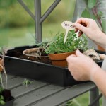 Kweektafel Anne 2 zwart/groengrijs