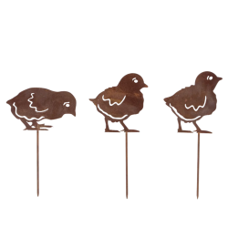 Roest tuinsteker Kuikens Assorti