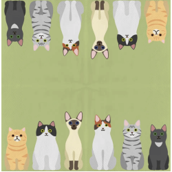Papieren servetten katten 33x33cm
