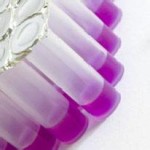 Antibiotica melktest incl pipet 25st