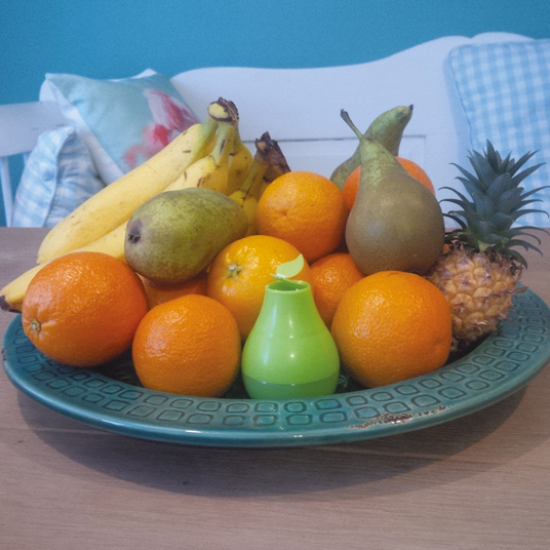 HG Fruitvliegjesval