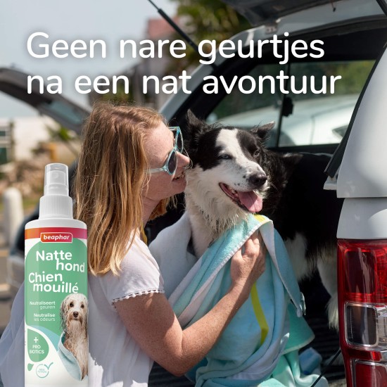 Beaphar Natte Hond Spray 250ml Beaphar Natte Hond Spray 250ml