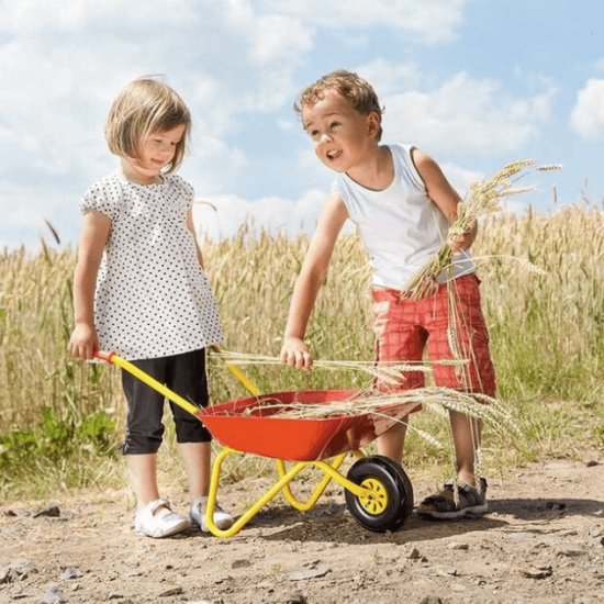 Kinderkruiwagen metaal rood