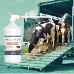 SecureCattle 1000ml pour-on rundvee