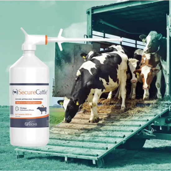 SecureCattle 1000ml pour-on rundvee
