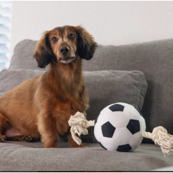 Voetbal met touw 27cm