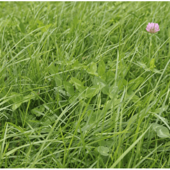 DSV Milkmore 14 Graszaad 15kg DSV Milkmore 14 Graszaad 15kg