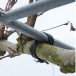 Bindbuis 3mm 50m zwart