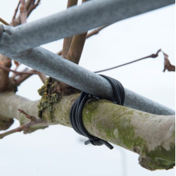 Bindbuis 3mm 50m zwart