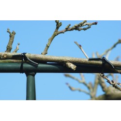 Bindbuis 3mm 50m zwart Bindbuis 3mm 50m zwart