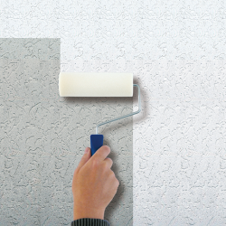 HG Stucwerk reiniger 1L