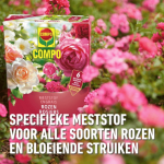 Compo Rozen meststof 2 kg