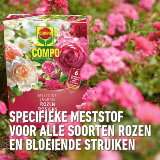 Compo Rozen meststof 2 kg