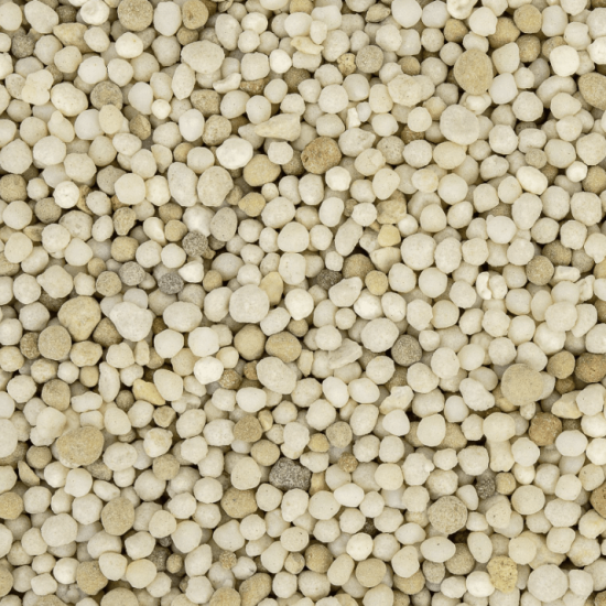 Compo buxus meststof 2kg