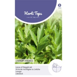 HortiTops Lavas Maggiplant