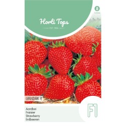 HortiTops Aardbei Grandian F1