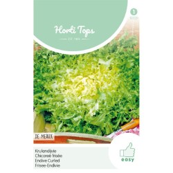 HortiTops Krulandijvie De Meaux