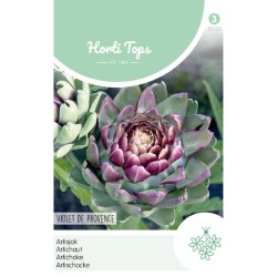 HortiTops Artisjok Violet de Provence HortiTops Artisjok Violet de Provence