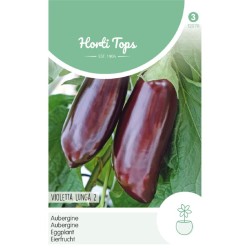 HortiTops Aubergine Violetta Lunga 2