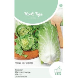 HortiTops Groenlof vroege zelfsluitende