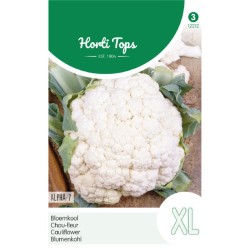 HortiTops Bloemkool Alpha 7 HortiTops Bloemkool Alpha 7