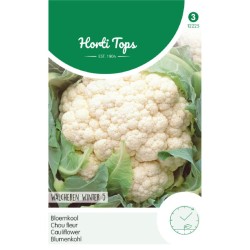 HortiTops Bloemkool Walcheren Winter 5