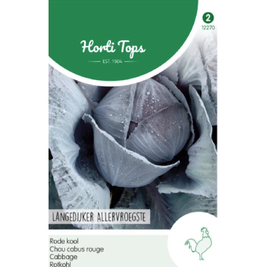 Hortitops Rode kool Langedijker allervroegste Hortitops Rode kool Langedijker allervroegste