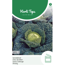 Hortitops Savooiekool – Vertus 3