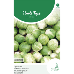 Hortitops Spruitkool Groninger