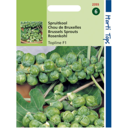 Hortitops Spruitkool Igor Topline F1