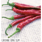 Hortitops Peper Cayenne spaanse lange rode Pepers