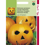 Hortitops Halloween pompoen - Jack O’Lantern