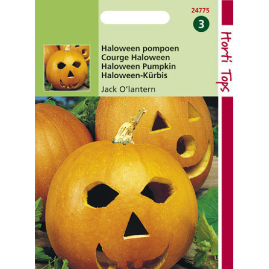 Hortitops Halloween pompoen - Jack O’Lantern