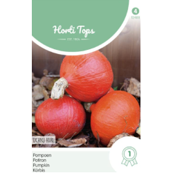Hortitops Pompoen Oranje zon